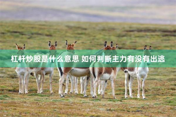杠杆炒股是什么意思 如何判断主力有没有出逃