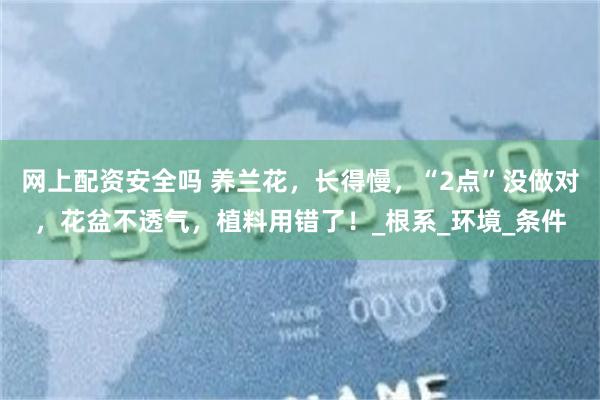 网上配资安全吗 养兰花，长得慢，“2点”没做对，花盆不透气，植料用错了！_根系_环境_条件