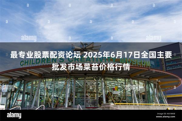 最专业股票配资论坛 2025年6月17日全国主要批发市场菜苔价格行情