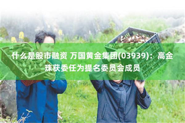 什么是股市融资 万国黄金集团(03939)：高金珠获委任为提名委员会成员