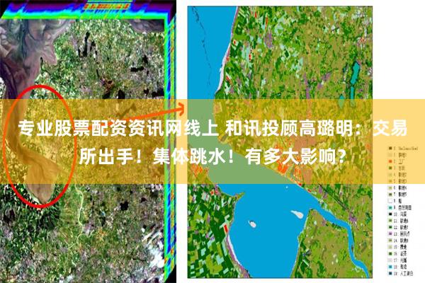 专业股票配资资讯网线上 和讯投顾高璐明：交易所出手！集体跳水！有多大影响？