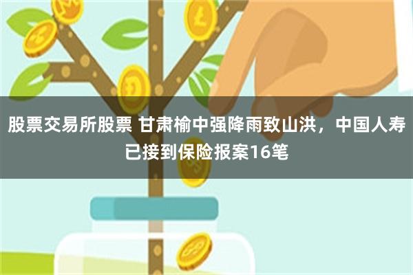 股票交易所股票 甘肃榆中强降雨致山洪，中国人寿已接到保险报案16笔