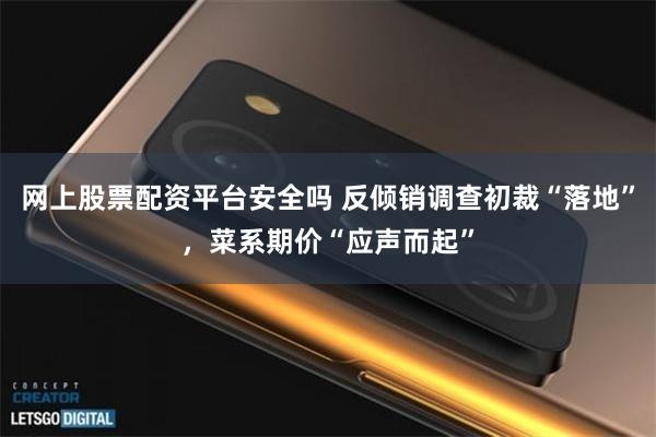 网上股票配资平台安全吗 反倾销调查初裁“落地”，菜系期价“应声而起”
