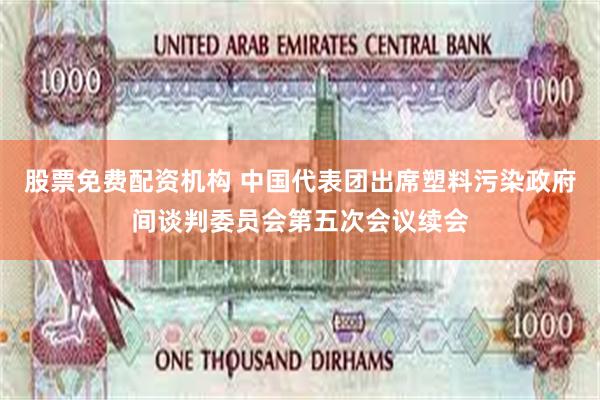 股票免费配资机构 中国代表团出席塑料污染政府间谈判委员会第五次会议续会
