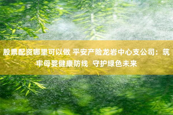 股票配资哪里可以做 平安产险龙岩中心支公司：筑牢母婴健康防线  守护绿色未来