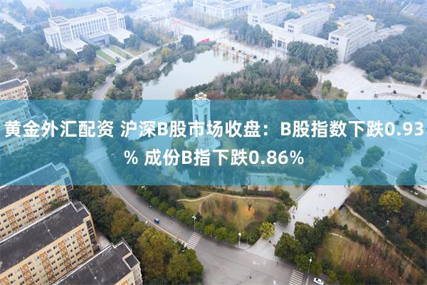 黄金外汇配资 沪深B股市场收盘：B股指数下跌0.93% 成份B指下跌0.86%